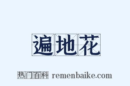 遍地花是什么意思的图片